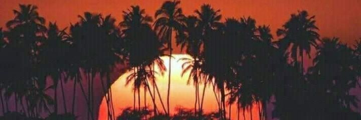 YowImBack1997's profile banner image