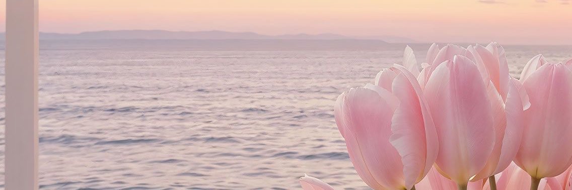 ___Maribell___'s profile banner image