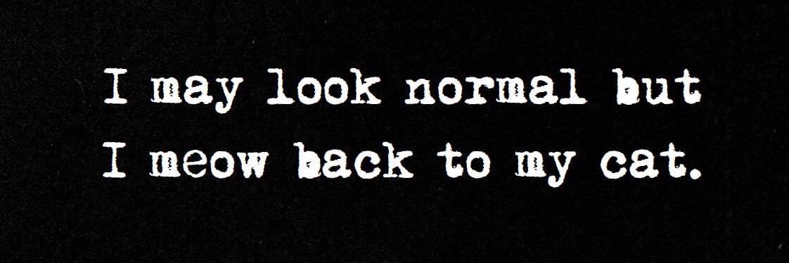 Mrs_Holmes20's profile banner image