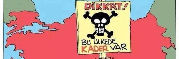 elifozer151's profile banner image