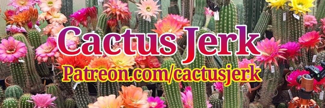 Cactus Jerk banner