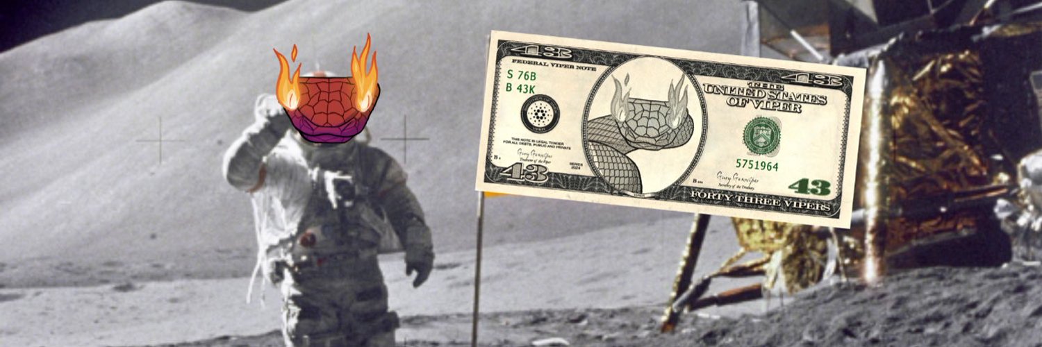skinsz_eth's profile banner image