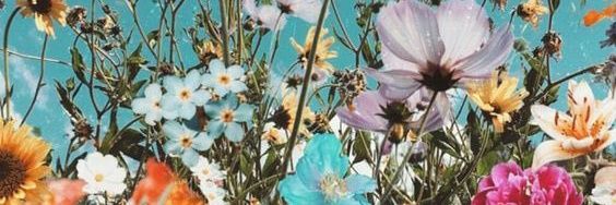 yesimgll's profile banner image