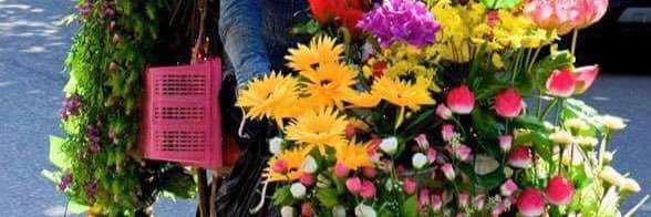 merthece's profile banner image
