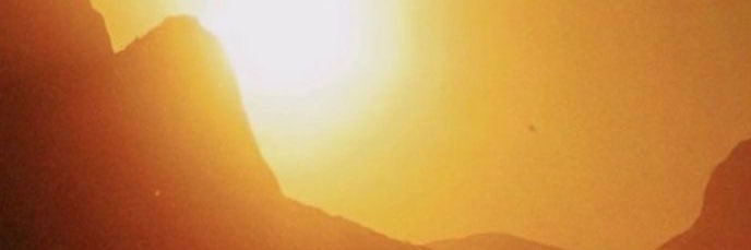 daliiamustafa's profile banner image