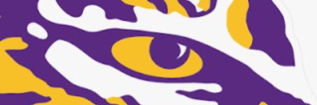 L-Ray banner