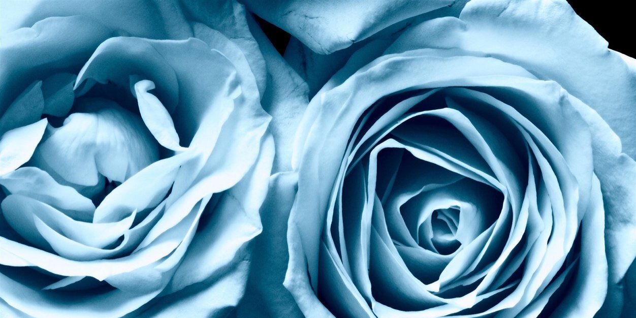 nats_nsty's profile banner image