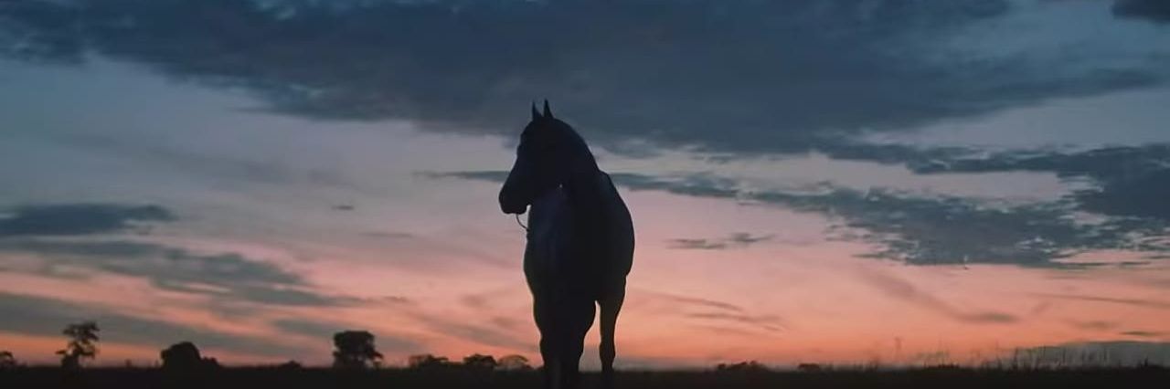 1WenMora's profile banner image