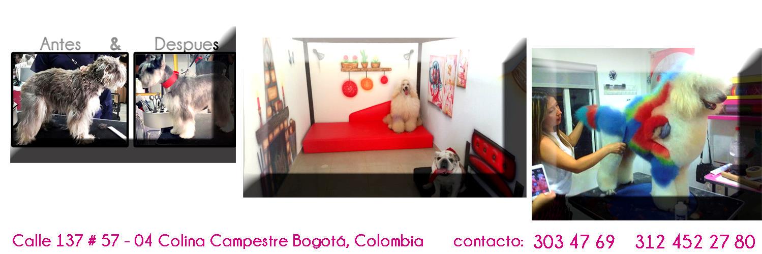 vippetcol's profile banner image