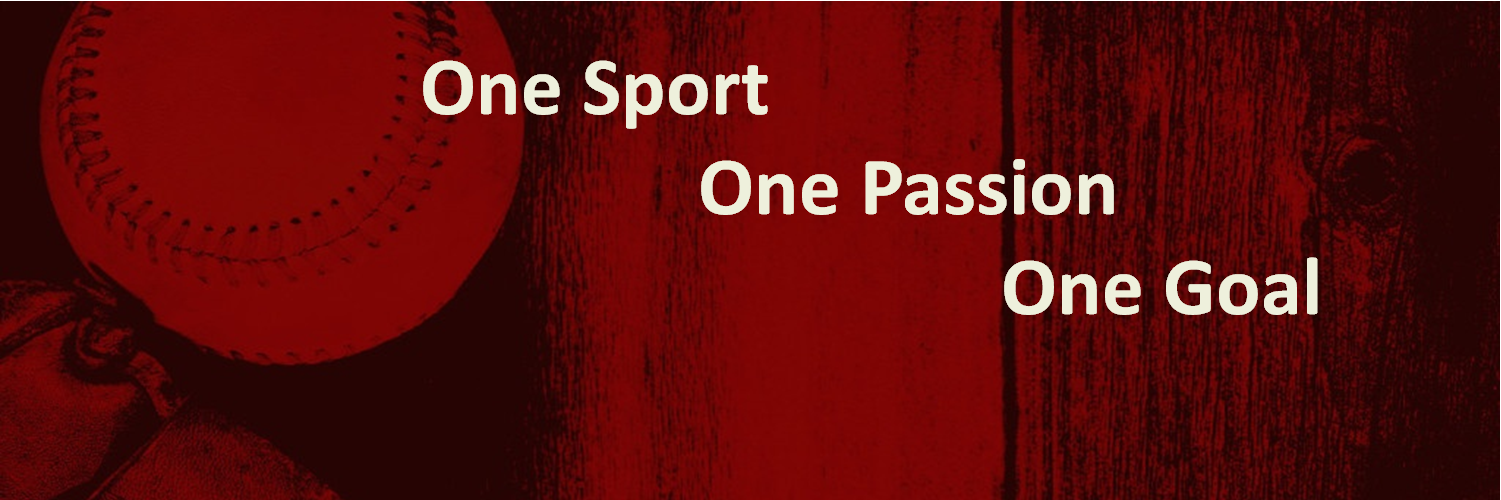 Baseball Recruiters banner