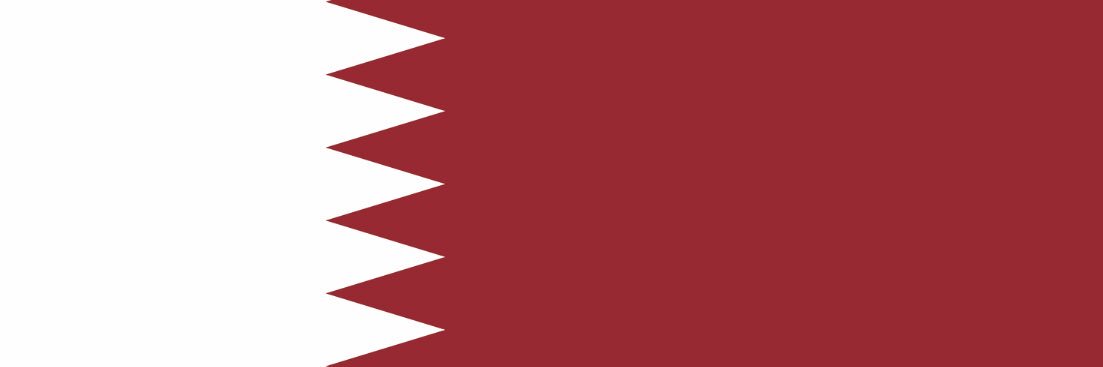 QatarEmbassy.India banner