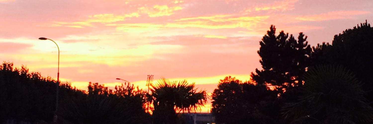 Matthieu Guerbartchouk banner