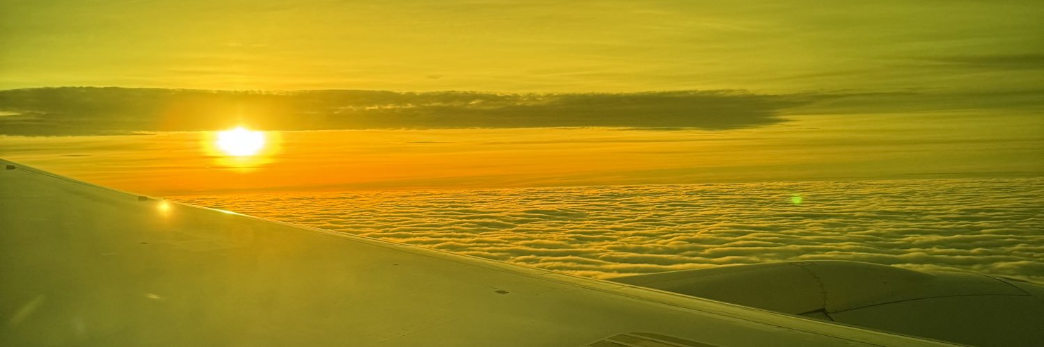 cocci6788's profile banner image