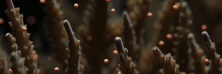 Mich_Calvert's profile banner image