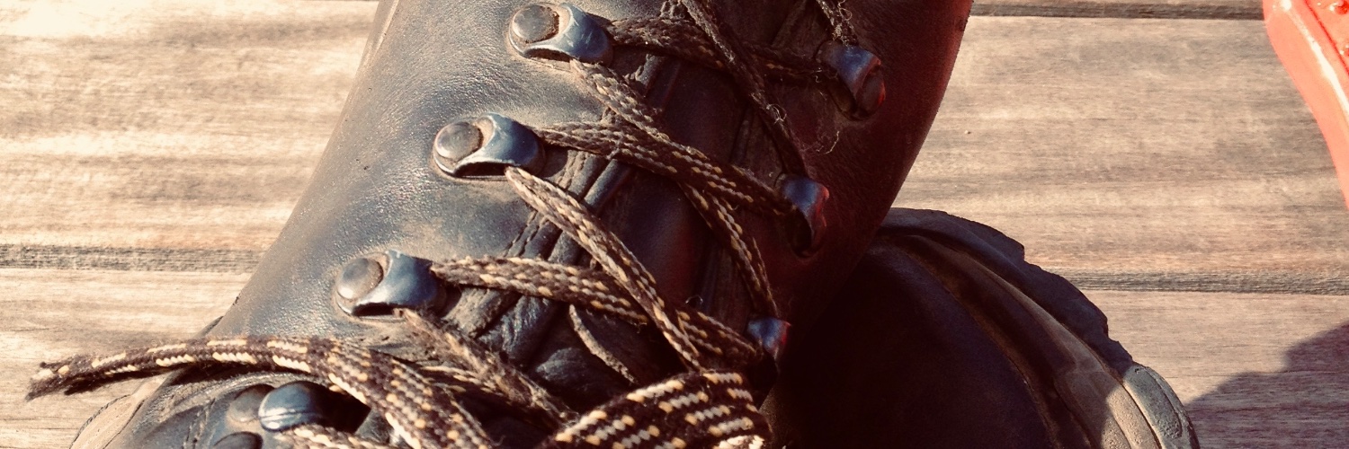 Roy Timor-Rousso banner