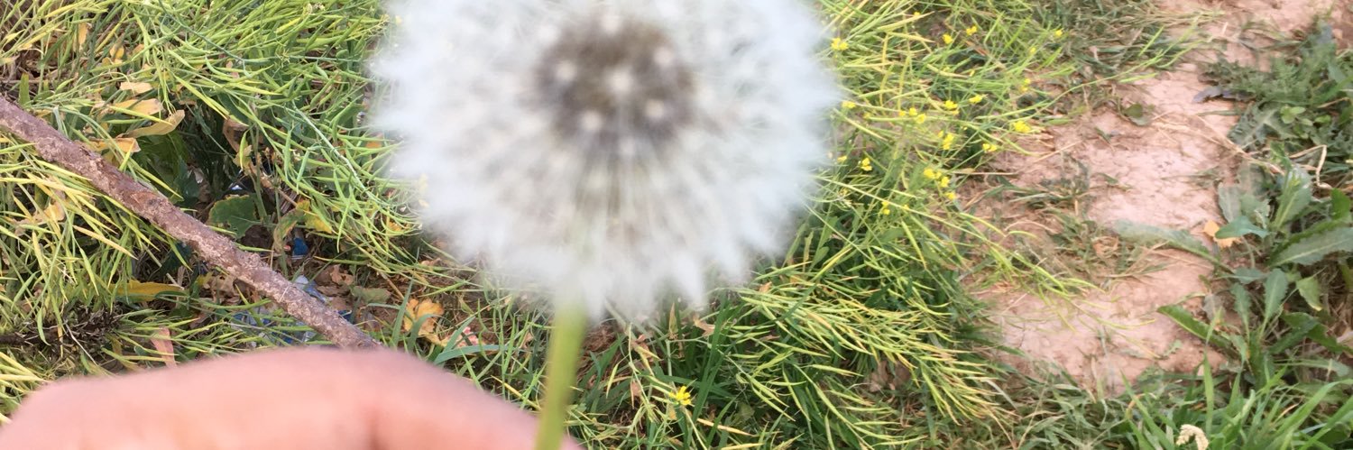 JudithxDc's profile banner image