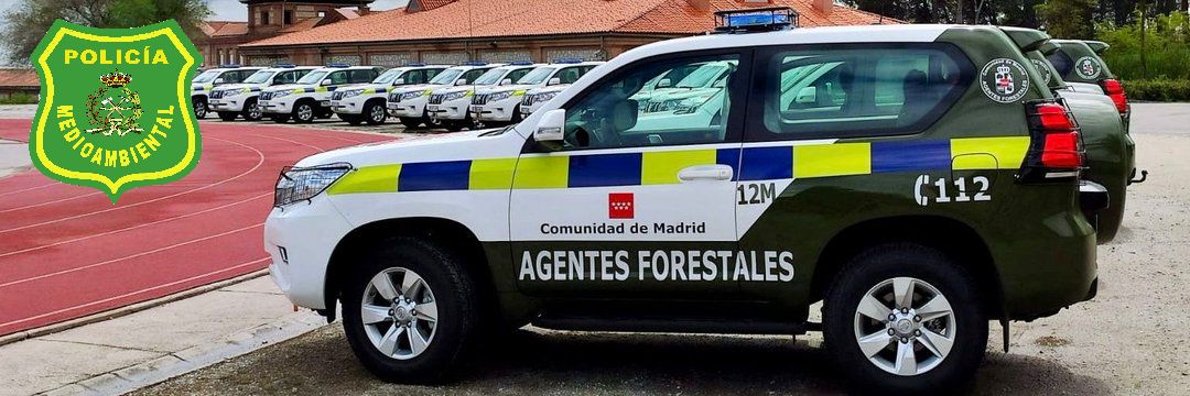 Ag. Forestal MADRID banner