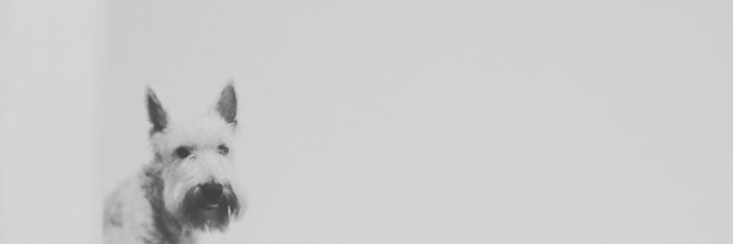aktinar's profile banner image