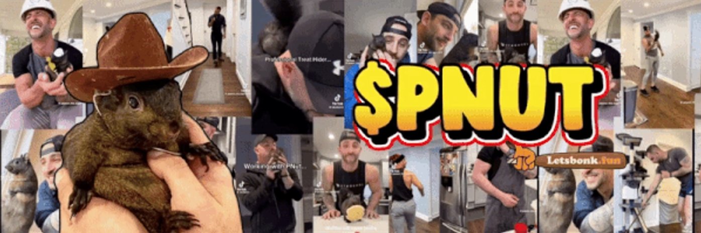 PnutSquirrelCTO's profile banner image
