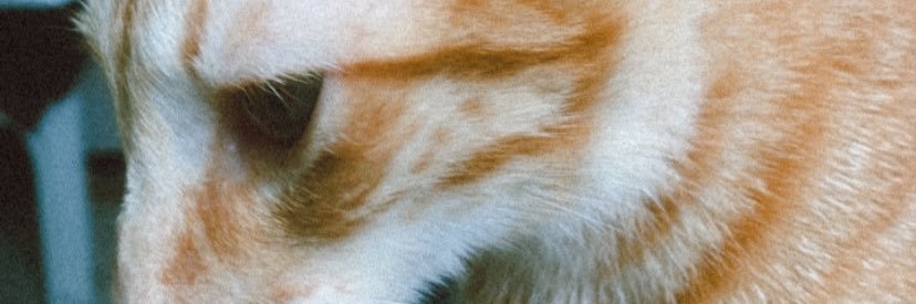 brnfllp's profile banner image