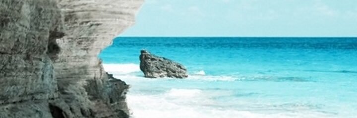 🌙 banner
