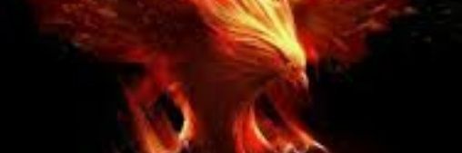 famagomarr's profile banner image