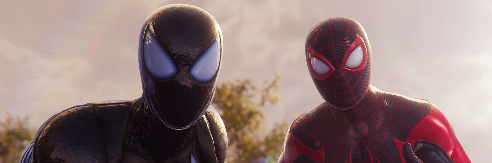 MLG banner