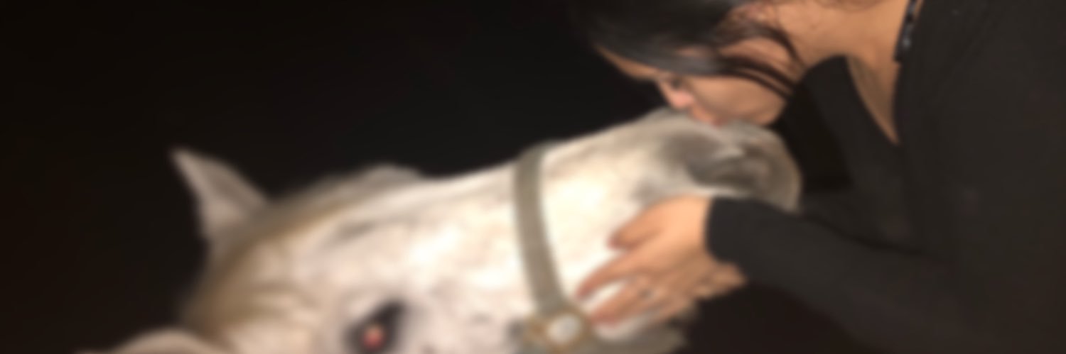 faximaaa__'s profile banner image