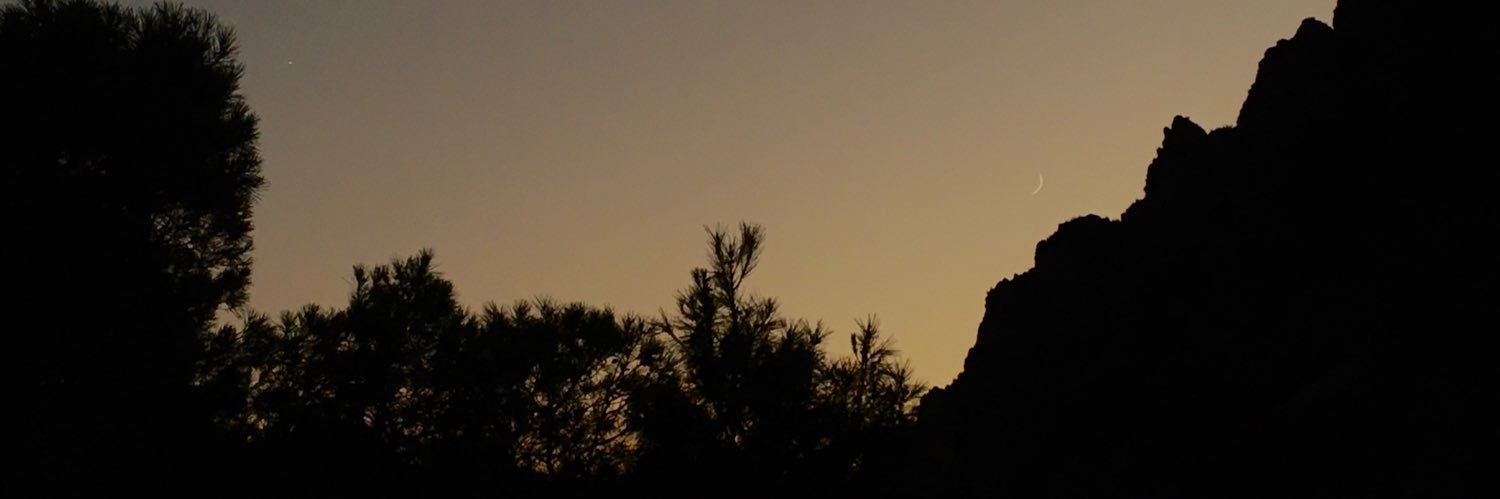 meerywiish's profile banner image