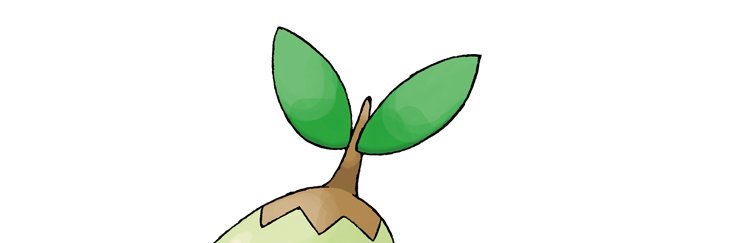 nae_troll's profile banner image
