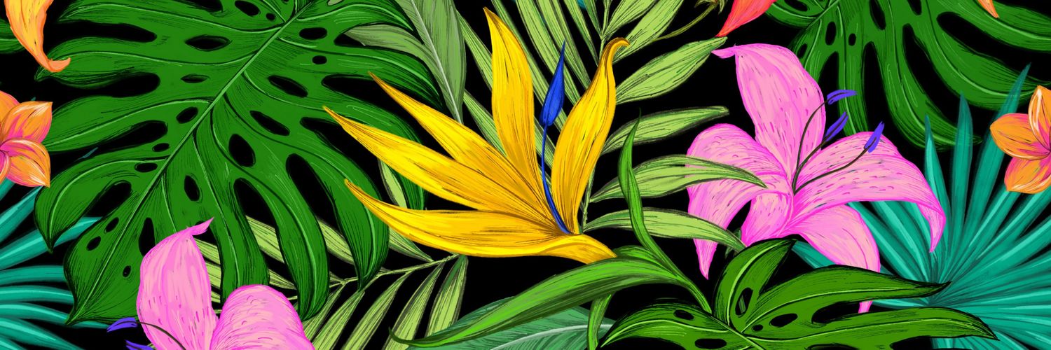 Co_ni's profile banner image