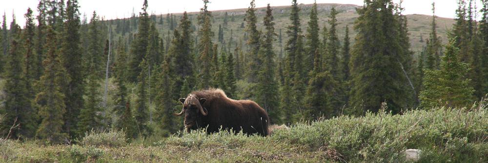 Matt and Heather banner