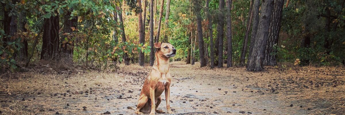 LisaEngelsHR's profile banner image