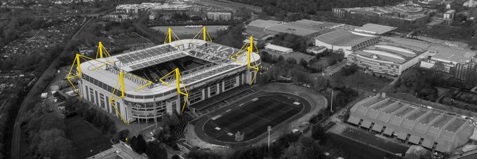 🐝 BVBine 🖤💛🎣 banner