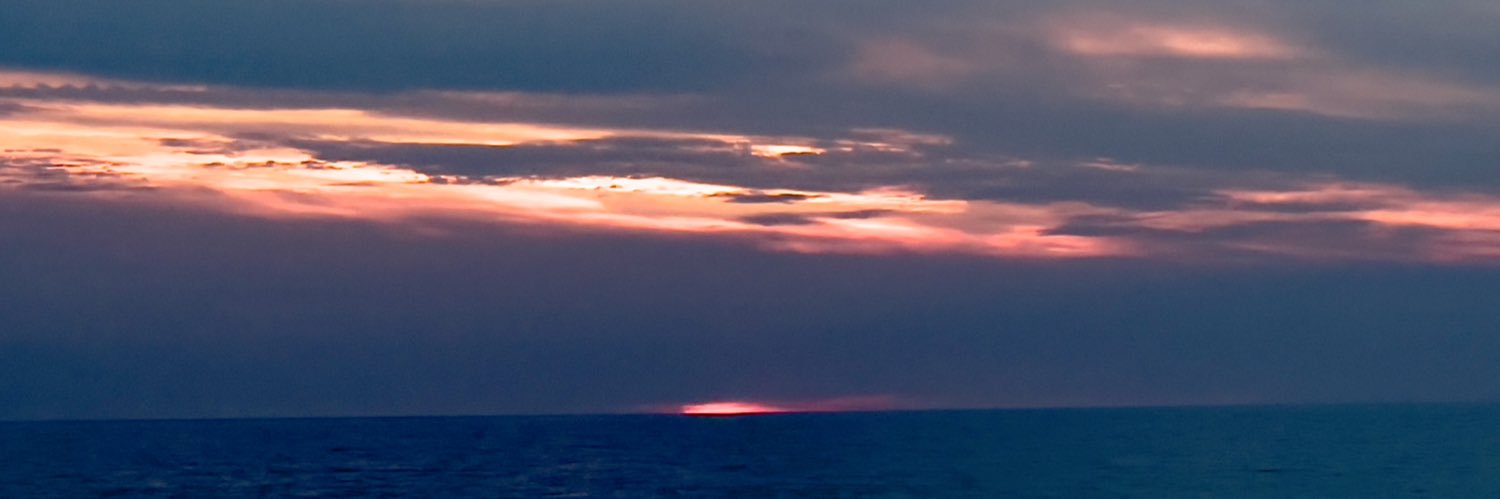 pappaià banner