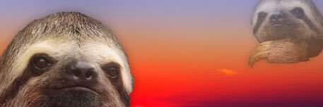 juanchoocl's profile banner image