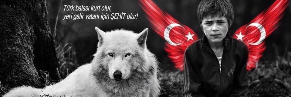 begenmisen's profile banner image