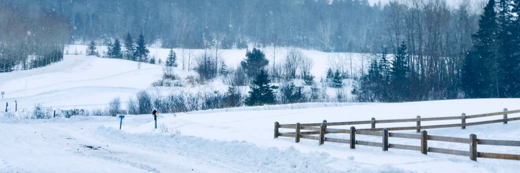 rpasdeloup's profile banner image