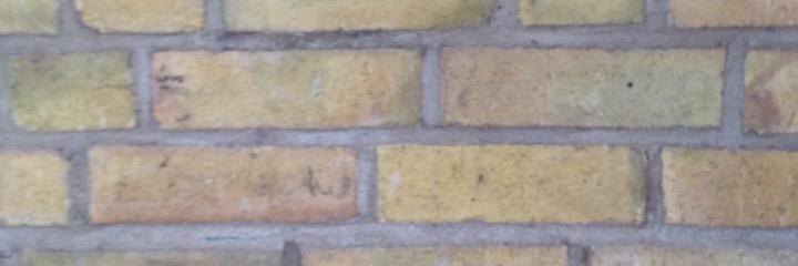 TuNethecoolguy's profile banner image