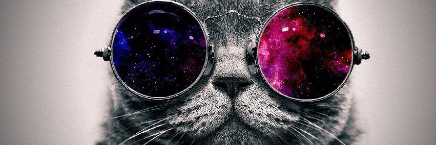 matt_esco's profile banner image