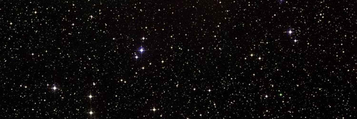 simran__patel's profile banner image