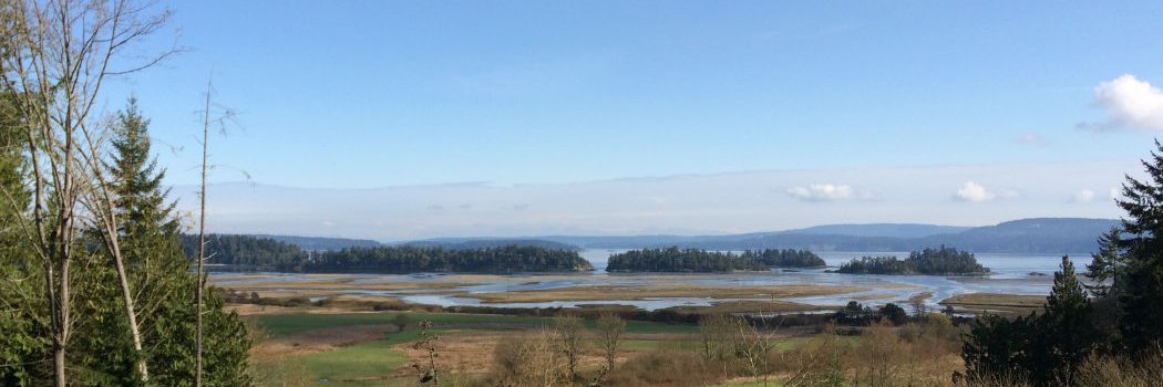 Cowichan ValleyVoice banner