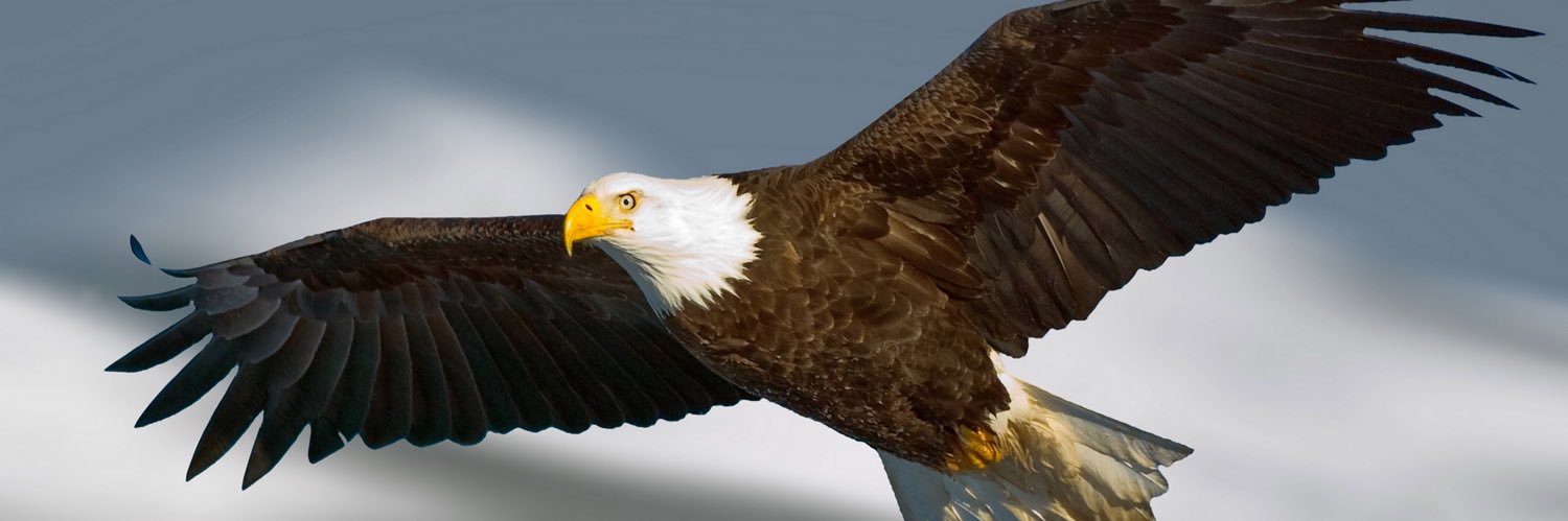 otis_yaw's profile banner image