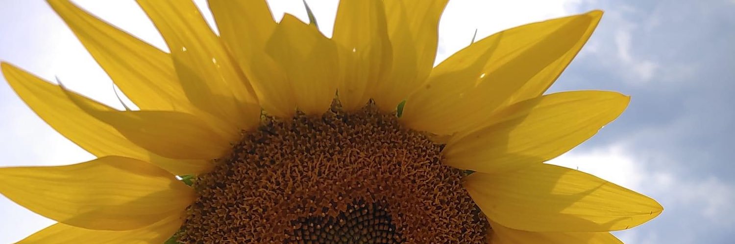 Lisa Broussard banner