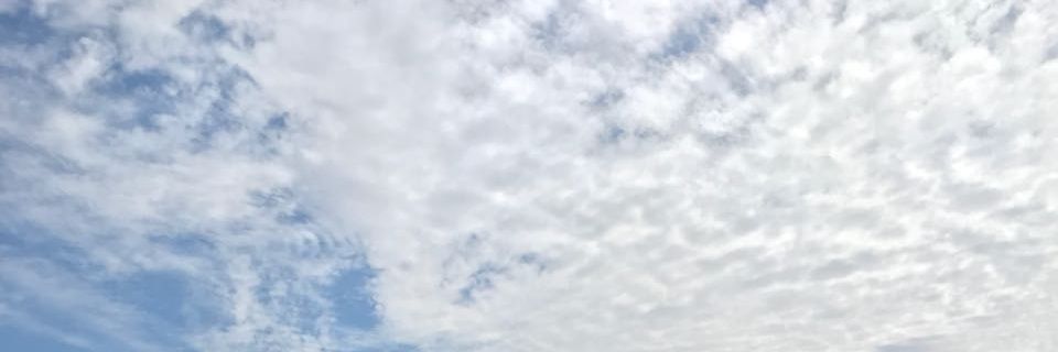 FridaNafarrate's profile banner image