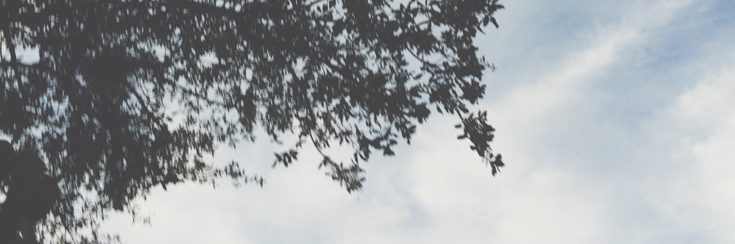 NextdoorNick's profile banner image