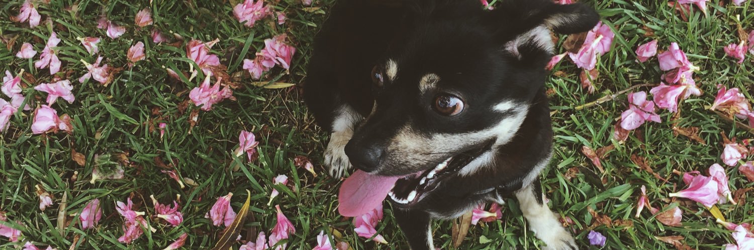 jorchex's profile banner image