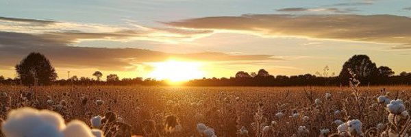 kittyolivia_24 Profile Banner