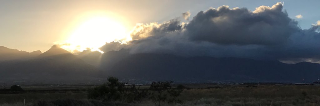 TheRealSeanD's profile banner image