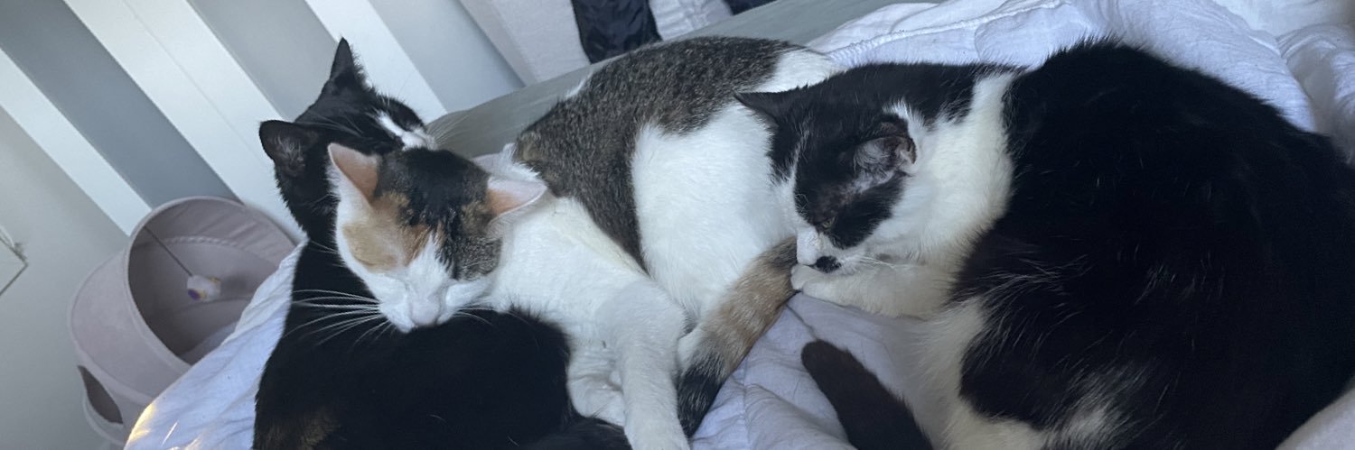 nyss ⁷ 💛🤍💜🖤 banner